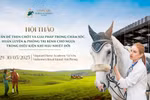 Học viện Cưỡi Ngựa Vinpearl Vũ Yên tổ chức Hội thảo chuyên sâu hàng đầu về ngựa