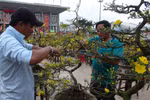 Làm thêm dịp Tết, thầy giáo suýt mất tiền công