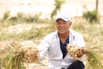 Đồng hành cùng bà con nông dân, Nam Ngư quảng bá đặc sản tỏi Lý Sơn