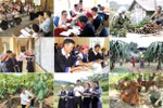 Nhiệm vụ, cơ cấu tổ chức của Ủy ban Dân tộc