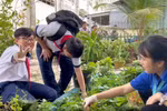 Học sinh, giáo viên chung tay tạo không gian xanh xây dựng trường học hạnh phúc