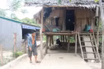 Nghệ An, từ xây trường học đến xây … “biệt thự cho bò”