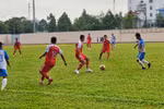 Giải bóng đá SV-League 2020 điều chỉnh thể thức thi đấu, sẵn sàng khởi tranh