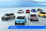 Đặt trước VF 5 Plus đầu tháng 7, “bỏ túi” tới 30 triệu đồng