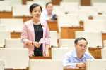 Đại biểu Quốc hội chất vấn: Bà con phàn nàn văn hóa trong giới văn nghệ sĩ