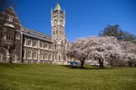 Cơ hội đạt học bổng trường Top 2 New Zealand