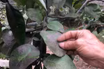 Doanh nghiệp bất chấp để làm giàu sẽ khiến đất nước đối diện với thảm họa