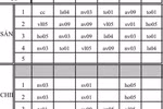Ảnh tác giả)