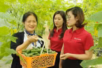 Dòng vốn ưu đãi 50.000 tỷ đồng từ Agribank tiếp sức sản xuất, kinh doanh