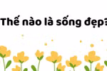 Góc nhìn của học sinh lớp 10 THPT Bảo Lâm về "Sống Đẹp"