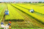 Bỏ quy hoạch sản phẩm nông nghiệp là bước tiến rất lớn