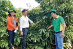 Áp thuế GTGT phân bón 5% lợi ích thiết thực cho nông nghiệp, nông dân