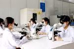 Giáo dục Đông Nam Bộ đặt mục tiêu không hạn chế sự phát triển của trường tư thục