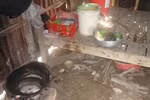 Cha mẹ qua đời, hai chị em thường xuyên nhịn đói đến trường