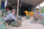 Sau 8 tháng vẫn chưa biết ai phá nhà ông Vươn