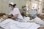 Vụ cảnh sát nổ súng trong trường gà: có thể bị xử lý hình sự