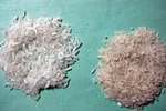 Thực hư gạo lạ