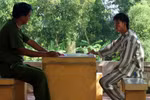 Tử tù và sự sống từ ân huệ cuối cùng