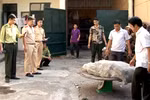 Quảng Ninh: Phát hiện gần 2 tạ chim quý đang “tuồn” sang Trung Quốc