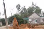 Phát hiện hàng chục quả đạn pháo chưa nổ trong khu dân cư