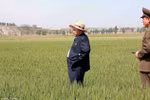 Kim Jong-un đội mũ thời trang thăm ruộng lúa