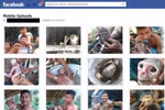 Tổ chức Giáo dục Thiên nhiên lên án vụ giết voọc đăng ảnh lên Facebook