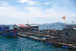 Người Trung Quốc nuôi cá trên vịnh Cam Ranh