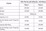 Thành phố Hồ Chí Minh hướng dẫn mức thu học phí cho năm học 2022-2023