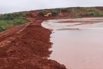 Bùn và Ngọc trong “văn hóa công chức Việt”