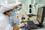 Sinh viên nào thuộc diện được miễn giảm học phí trong năm 2024?