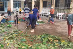 Đà Nẵng: GV ở Liên Chiểu buồn tủi vì bị xét nâng lương “chậm”, UBND quận trả lời