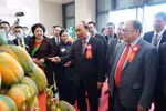 Xây dựng một nền nông nghiệp thịnh vượng, nông dân giàu có, nông thôn văn minh