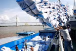 Việc xuất khẩu gạo cần phải xem xét kỹ lưỡng, thận trọng