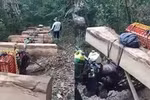 Thủ tướng yêu cầu xử lý nghiêm hoạt động phá rừng tại Kon Tum