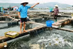Nhiệm vụ lập Quy hoạch bảo vệ và khai thác nguồn lợi thuỷ sản
