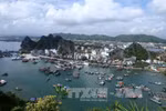 Quy hoạch tỉnh Quảng Ninh phải thể hiện được quan điểm đổi mới mạnh mẽ