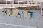 Đôi điều thân gửi những du học sinh không hợp tác, chê bai khu cách ly