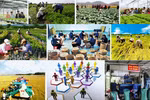 Nghị quyết phiên họp Chính phủ thường kỳ tháng 5