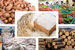 Phấn đấu hoàn thành chỉ tiêu xuất khẩu nông sản cả năm đạt 41 tỷ USD