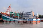Ngưng hiệu lực một số điều của Nghị định 26/2019/NĐ-CP