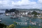 Điều chỉnh quy hoạch chung xây dựng khu kinh tế Vân Đồn