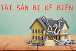 Quy định về cưỡng chế thi hành án đối với pháp nhân thương mại