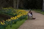 Vẻ đẹp say đắm lòng người ở ĐH Cambridge 