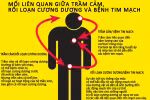 Stress gây rối loạn cương dương và bệnh tim mạch 