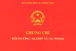 Không có chứng chỉ bồi dưỡng nghiệp vụ sư phạm, Phó hiệu trưởng xuống hạng III