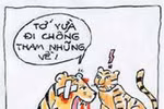 Thầy Nguyễn Nguyên hỏi câu rất buồn, sao giáo viên chống tiêu cực cô đơn thế?