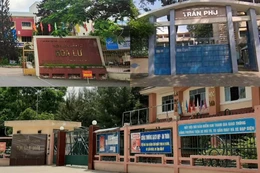 TPHCM: Nhiều trường công lập không công khai thông tin về môn học liên kết, hiệu trưởng nói gì?