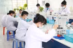 Học bổng cho người học khoa học cơ bản, kỹ thuật và công nghệ là cần thiết nhưng chưa đủ 