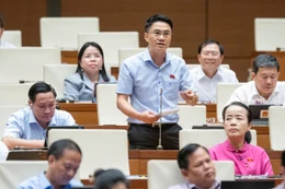 Cần hiệu trưởng phê tiếp nhận, GV cắm bản đủ điều kiện khó được thuyên chuyển