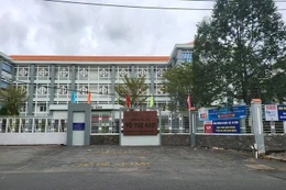 Học sinh TH Võ Thị Sáu bị nôn ói sau khi đi học về: Phụ huynh nhiều băn khoăn 